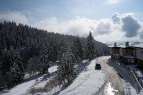 Апартамент ДЕНИ Pamporovo